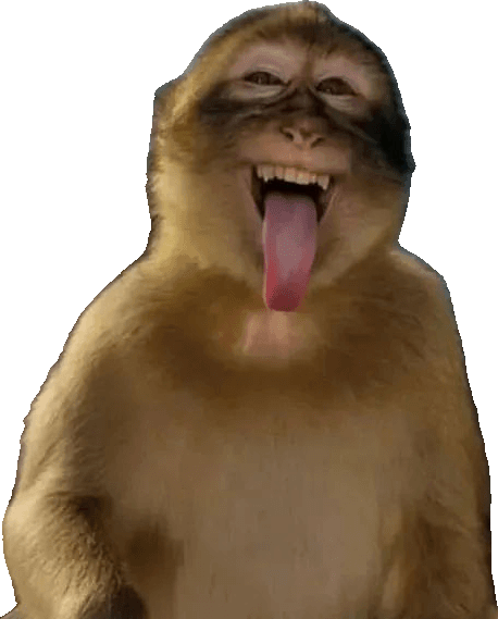 Winking Monkey